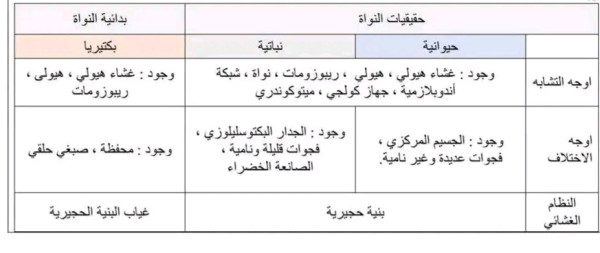 جدول مقارنة بين الخلية النباتية والحيوانية