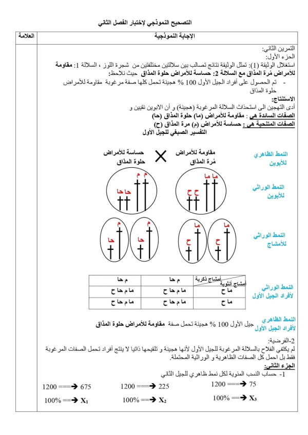 تمرين  حول التهجين مع الحل السنة الأولى ثانوي